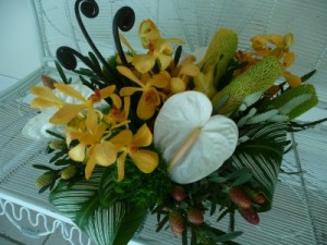 Ooh La-La in Easton, CT | Felicia's Fleurs Ooh La-La in Easton, CT | Felicia's Fleurs