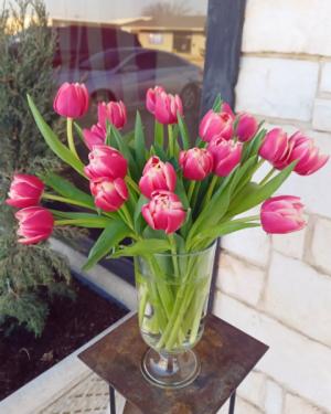Oops! All Tulips! Vase Arrangement