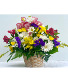 Oopsie Daisy Powell Florist Exclusive