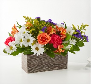 Oopsie Daisy - 820 Arrangement 