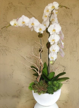 OPC Arrangement Commercial and residential