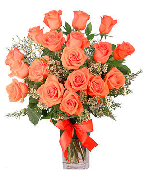 24 Radiant Roses Red Roses Arrangement in Calgary, AB - Allan's Flowers