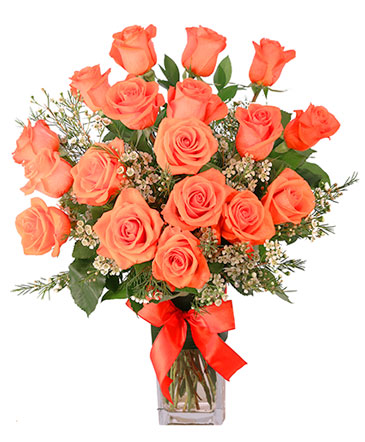 Orange Admiration Rose Arrangement in Michigan City, IN | WRIGHT'S FLOWERS AND GIFTS INC.