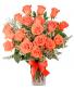 Orange Admiration Roses 