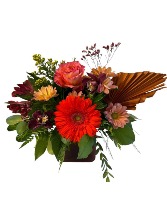 Orange Beauty Vase arrangement 