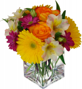 Orange blossom Fresh arrangement