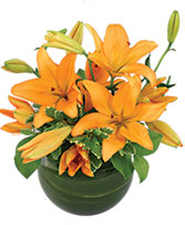 Orange Lily Bowl Arrangement