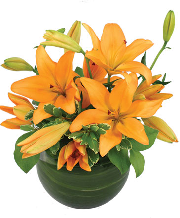 Orange Lily Bowl Arrangement in Greenville, SC | Welcome Florist