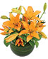 Orange Lily Bowl Arrangement