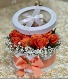 Orange boxed roses 