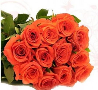 Orange Confidence Roses in Chatham, NJ | SUNNYWOODS FLORIST Orange Confidence Roses in Chatham, NJ | SUNNYWOODS FLORIST