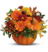 Orange Country Pumpkin fresh flowers