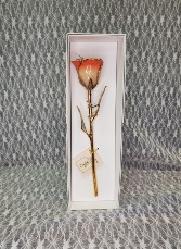 Orange & Cream Gold Dipped Rose 