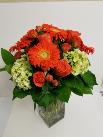 Orange Crush