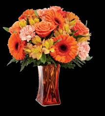 Orange Crush