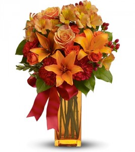 Orange Crush HFWEB574