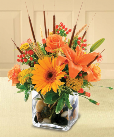 Orange Delight Arrangement in cube