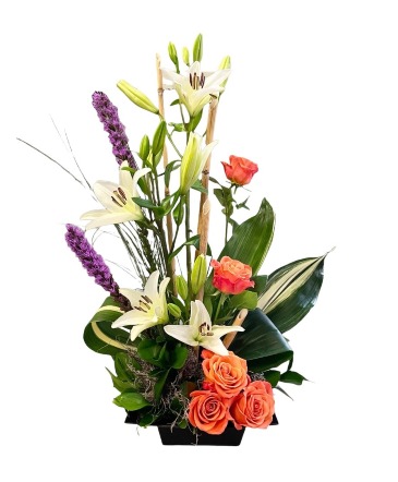 Orange Dream Modern  in Murfreesboro, TN | Enchanted Flower Shop