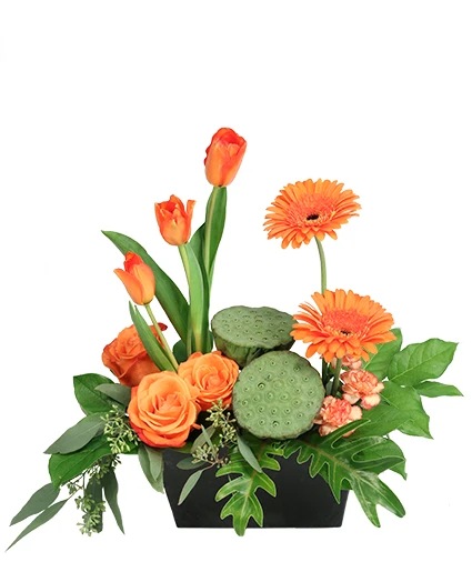 Orange Elegance Floral Design 