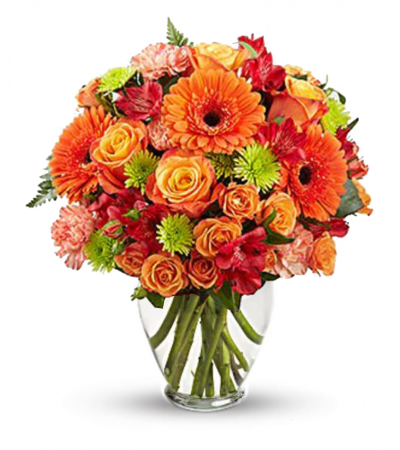 Orange Embrace Arrangement