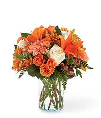Orange For YOU