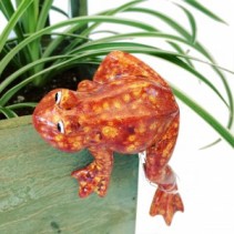 Orange frog for plant  3C Floral Collection 