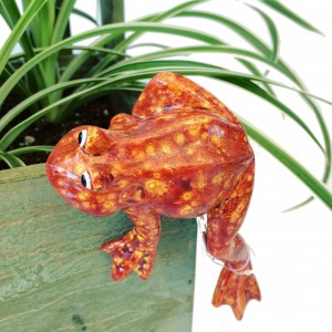Orange frog for plant 3C Floral Collection