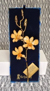 Orange Gold Dipped Orchid