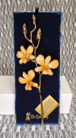 Orange Gold Dipped Orchid