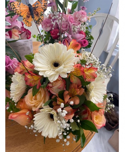 Orange occasion