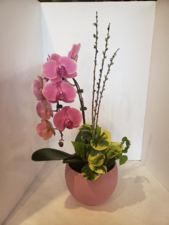 Orchid Arrangement Planter