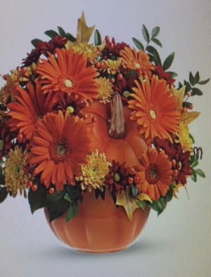 Orange Pumpkin 