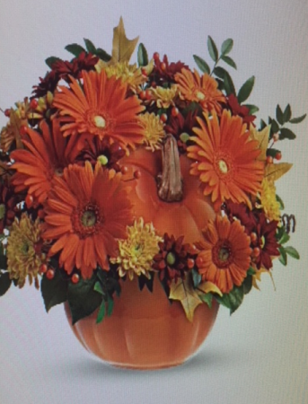 Orange Pumpkin