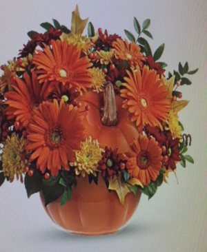 Orange Pumpkin 