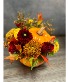 Orange Pumpkin 