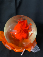 Orange Rose Comes in many colors, call for availability