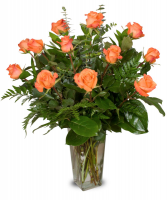 Long Stem Orange Roses