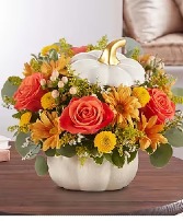 Orange Rose Plentiful White Pumpkin 