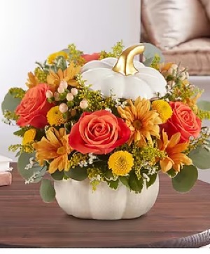 Orange Rose Plentiful White Pumpkin 