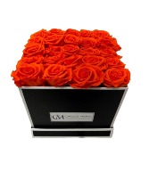 ORANGE ROSES 