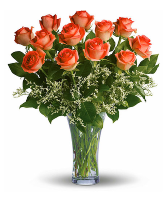 Orange Roses  