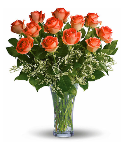 Orange Roses  