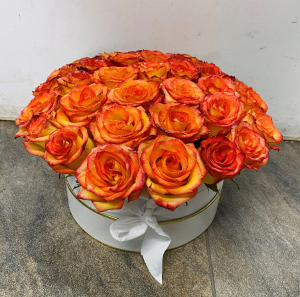 Box Roses 
