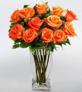 Orange roses Rose Arrangement