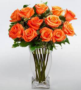 Orange Roses Rose Arrangment
