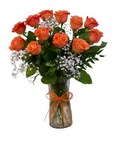 Orange Roses Roses