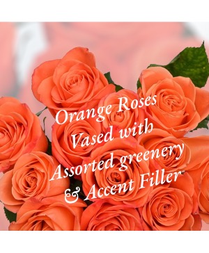 Orange Roses Roses