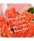 Orange Roses Roses