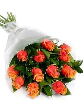 Orange Roses Wrapped - NO VASE 