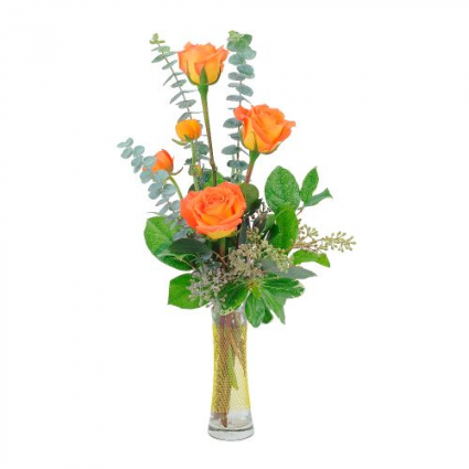 Orange Simplicity